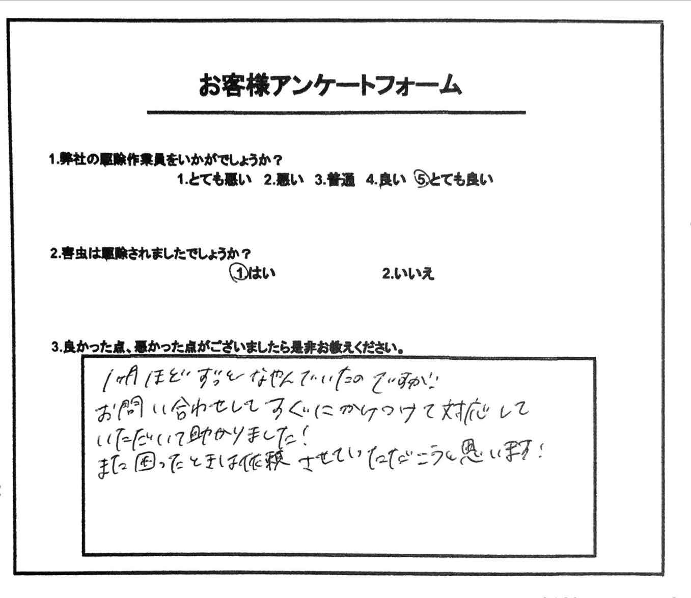 お客様の声